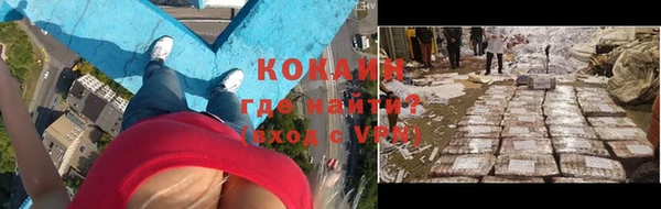 мяу мяу мука Гвардейск