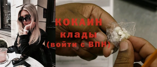 мяу мяу мука Гатчина