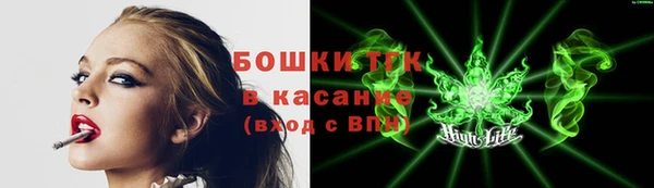 крисы Аркадак