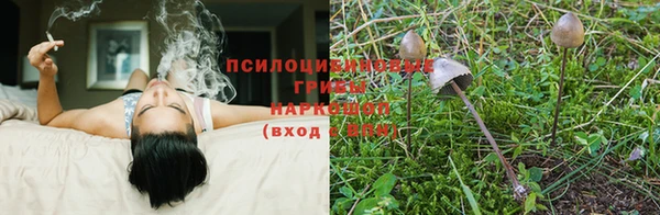 экстази Армянск