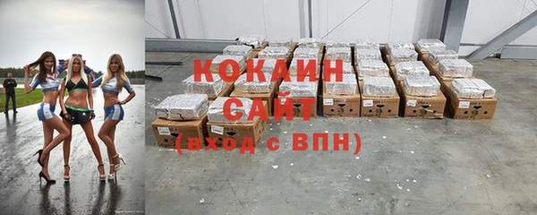 крисы Аркадак