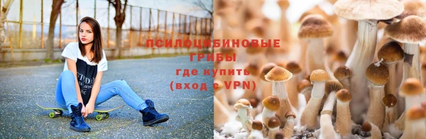 MESCALINE Балахна