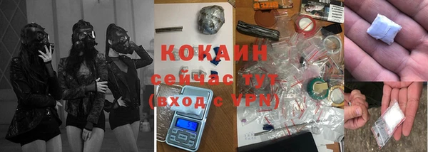 крисы Аркадак