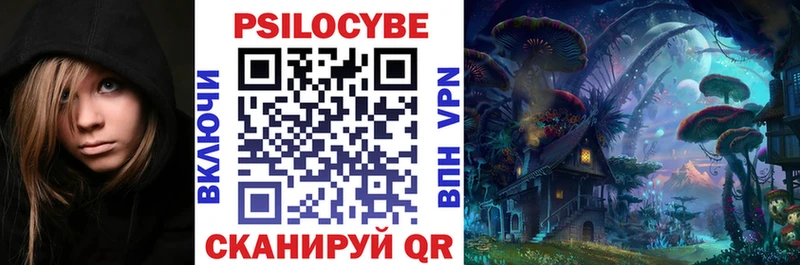 Псилоцибиновые грибы Psilocybine cubensis  Купить  Белозерск 